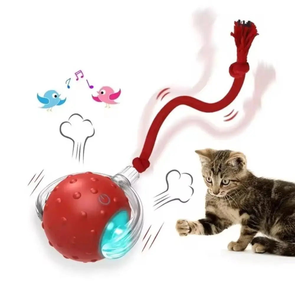 Interactive Rolling Cat Toy with Bird Sounds and Three Play Modes