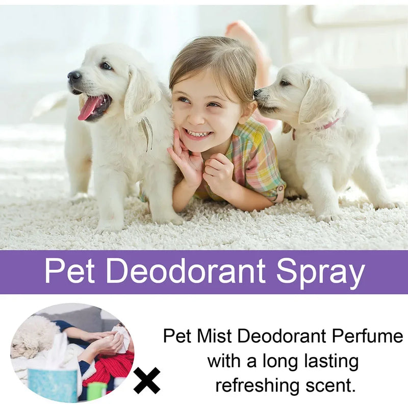 Lavender Oil Dog Deodorizer Spray