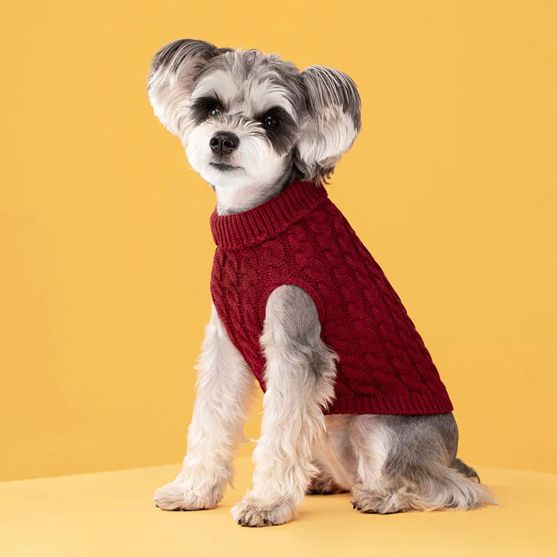A small, fluffy dog wearing a red knitted turtleneck sweater, sitting against a yellow background.