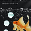 Bactéries nitrifiantes liquides 300ml pour le traitement de l'eau d'aquarium