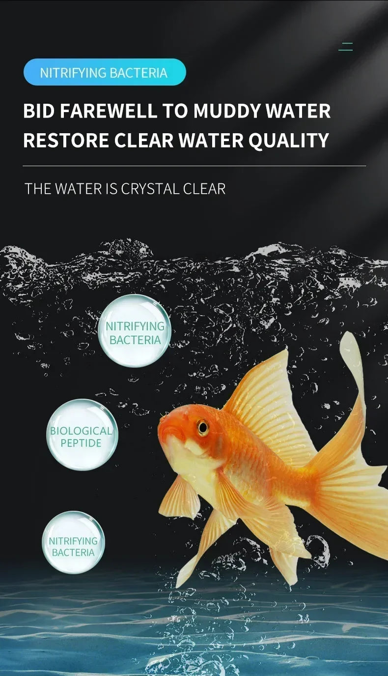 Bactéries nitrifiantes liquides 300ml pour le traitement de l'eau d'aquarium