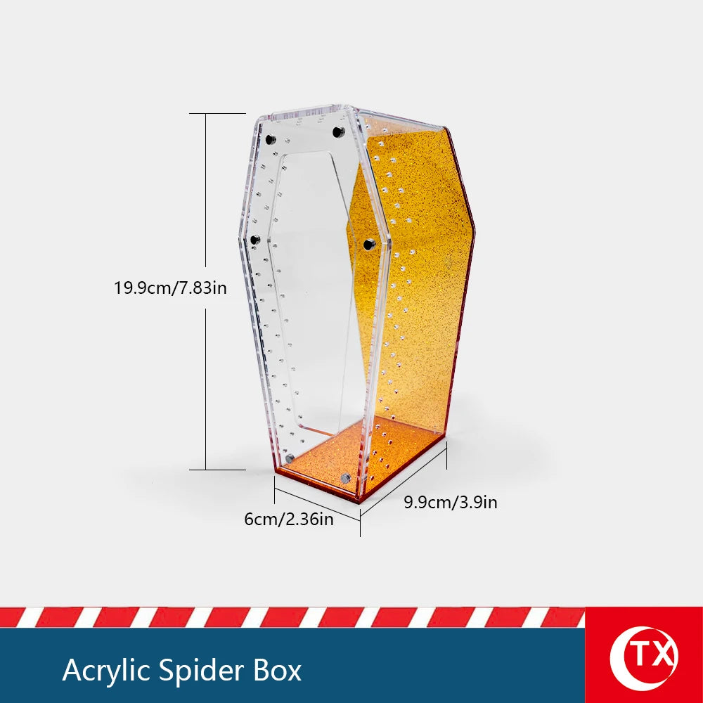 An acrylic spider box featuring a clear front panel and an orange-tinted side, shown in a vertical view.