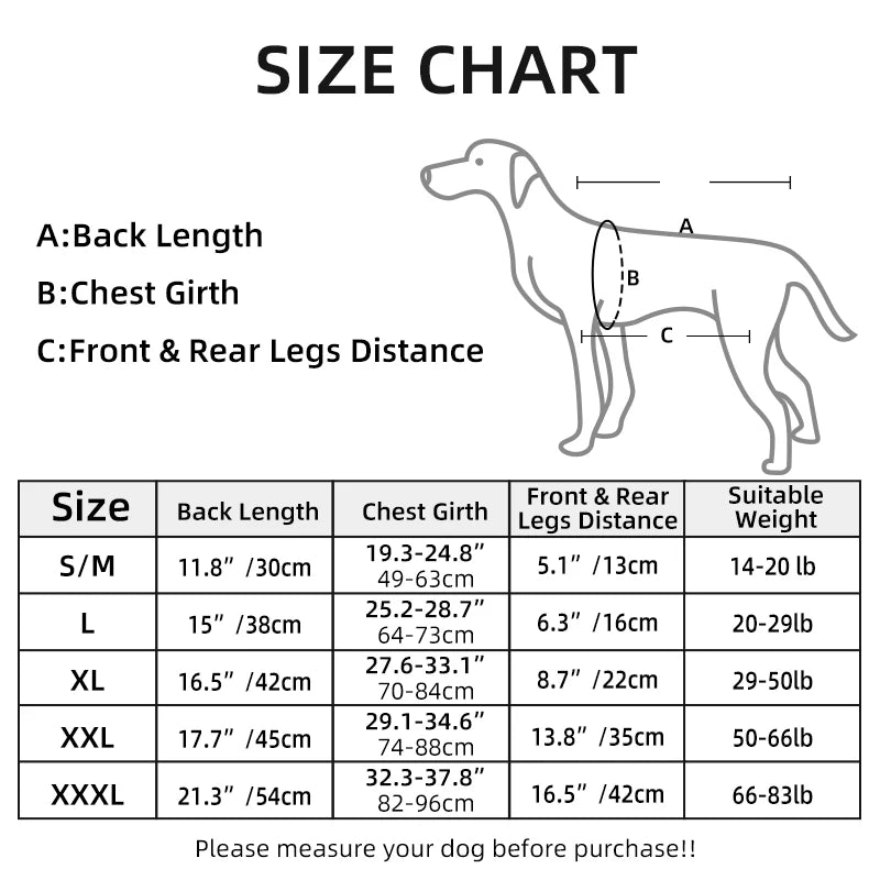 Großer Hundetrage-Rucksack