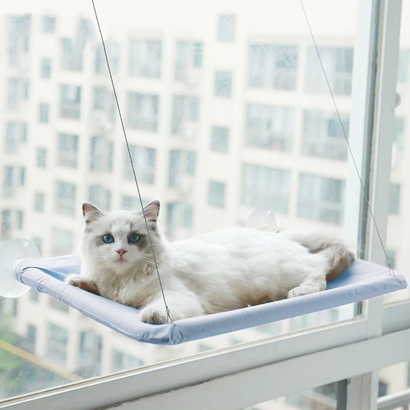 Un chat blanc se détend sur un lit-hamac bleu fixé à la fenêtre, vu à travers une grande vitre.