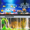 Aufgeteilte Aufnahme einer lebendigen Unterwasser-Szene und eines Wasserfalls.