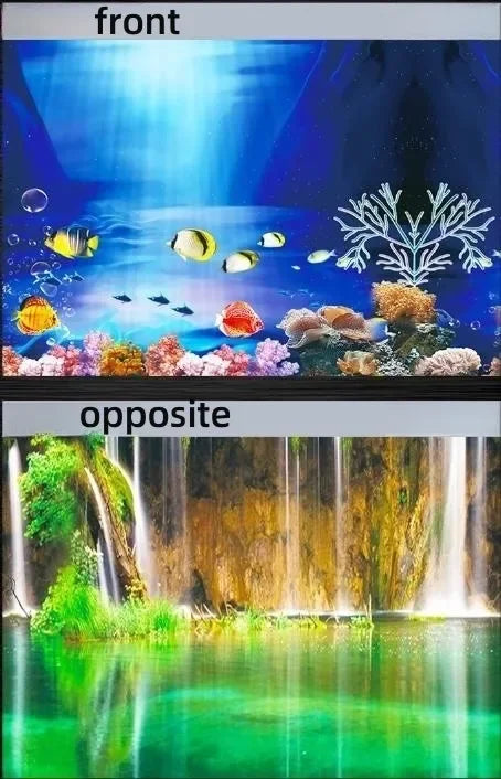 Aufgeteilte Aufnahme einer lebendigen Unterwasser-Szene und eines Wasserfalls.