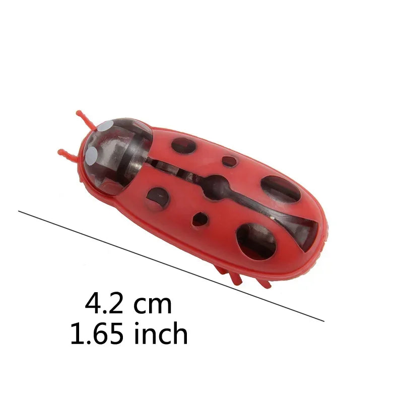 Electric Catnip Bug Toy for Cats