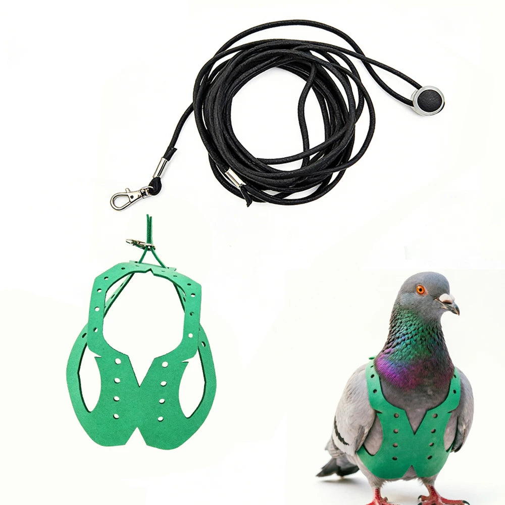A green parrot harness and black elastic leash set with a dove-like bird.