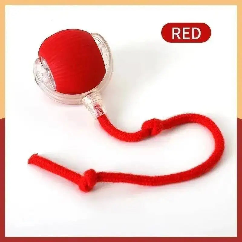 A red interactive pet ball for dogs and cats with a cord.