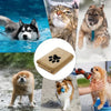 Collage von Tierhandtüchern für Hunde und Katzen, darunter eine flauschige Katze, ein Hund und ein Golden Retriever.