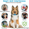 Rechargeable Waterproof Anti-Bark Training Collar for Dogs and Cats