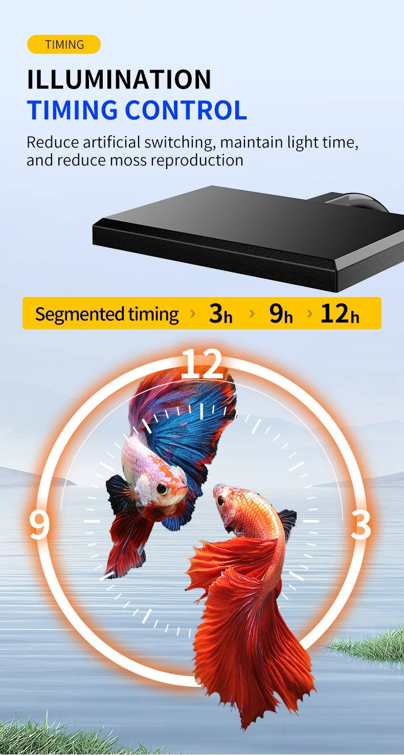 A black illumination timing control device is shown above a graphic illustrating segmented timing options for aquarium lighti