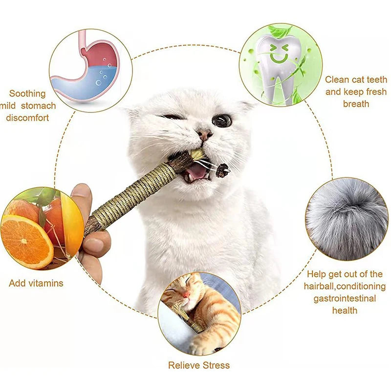 An interactive catnip chew stick is shown being used by a cat, illustrating benefits like soothing stomach discomfort, cleani