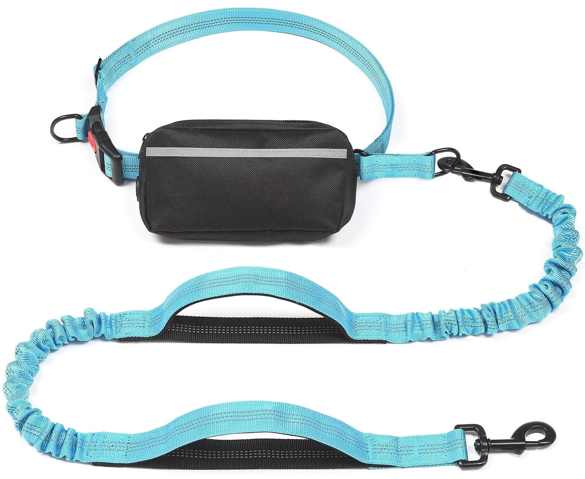 A set of blue and black retractable bungee leash and waist harness for dogs.