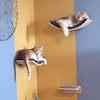Wall-Mounted Cat Climbing Shelf Set with Hammock and Scratching Posts