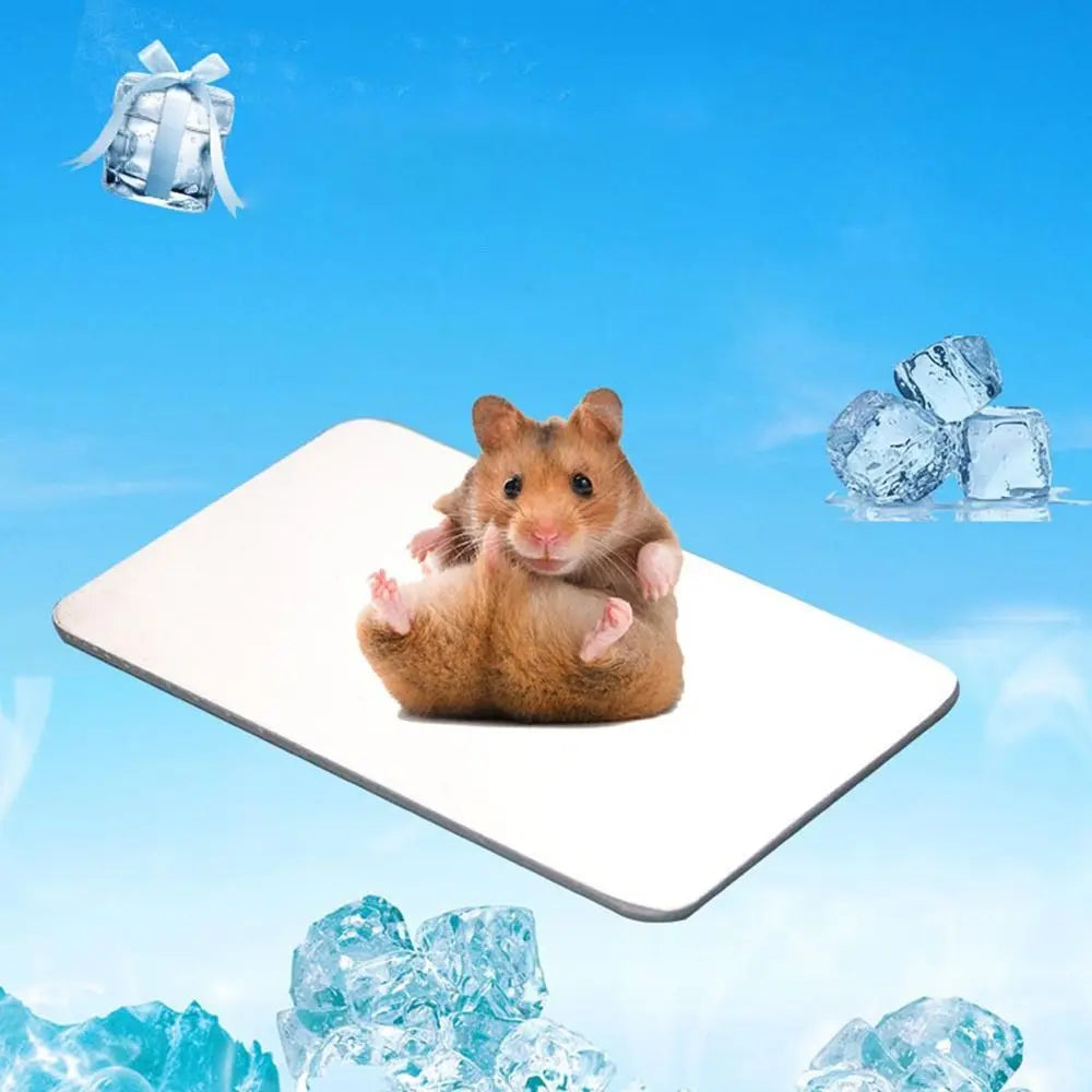 A fluffy brown hamster is sitting on a white aluminum cooling plate under a blue sky with ice cubes.