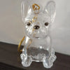 Pet Hair Storage Keychain – Transparent Dog & Cat Fur Keepsake Pendant