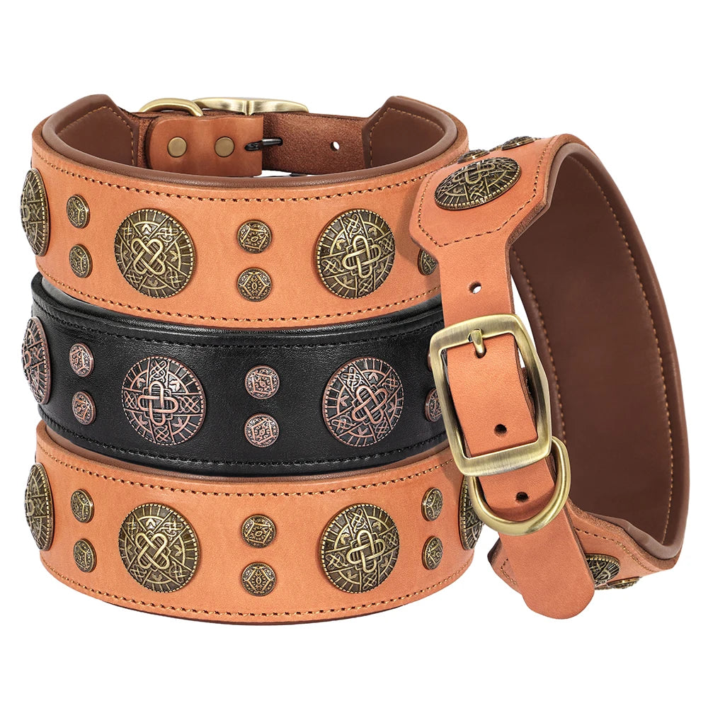 A brown leather dog collar with studded accents and a brass buckle.