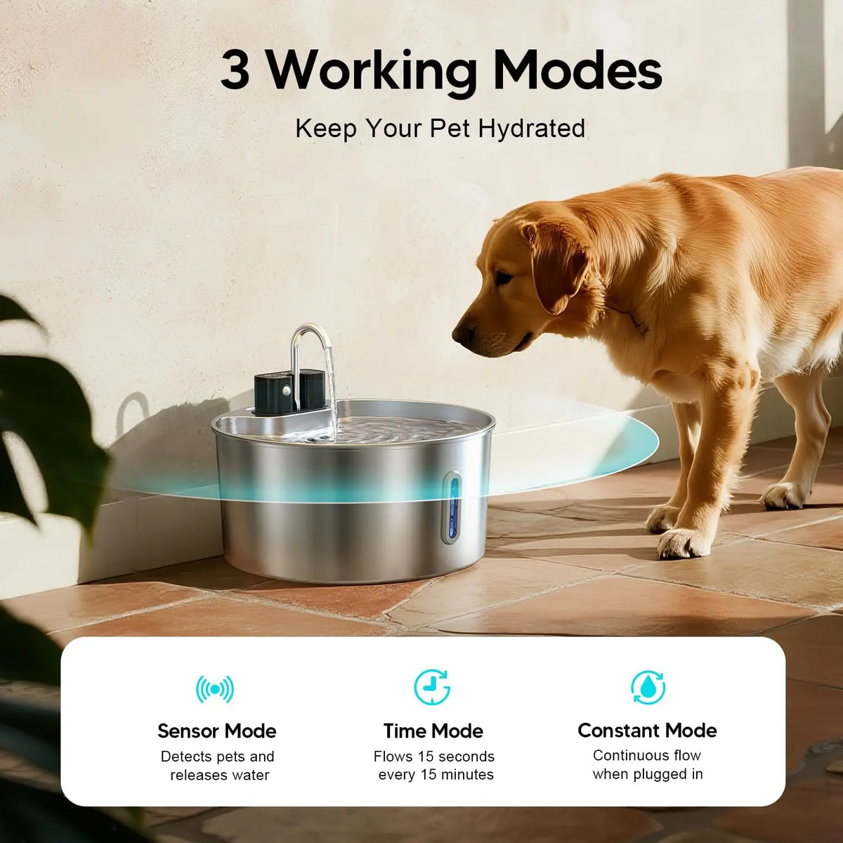 A golden dog is drinking water from a stainless steel pet water fountain with sensor modes.