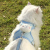 Un gato blanco vistiendo un arnés y correa de animal azul claro.