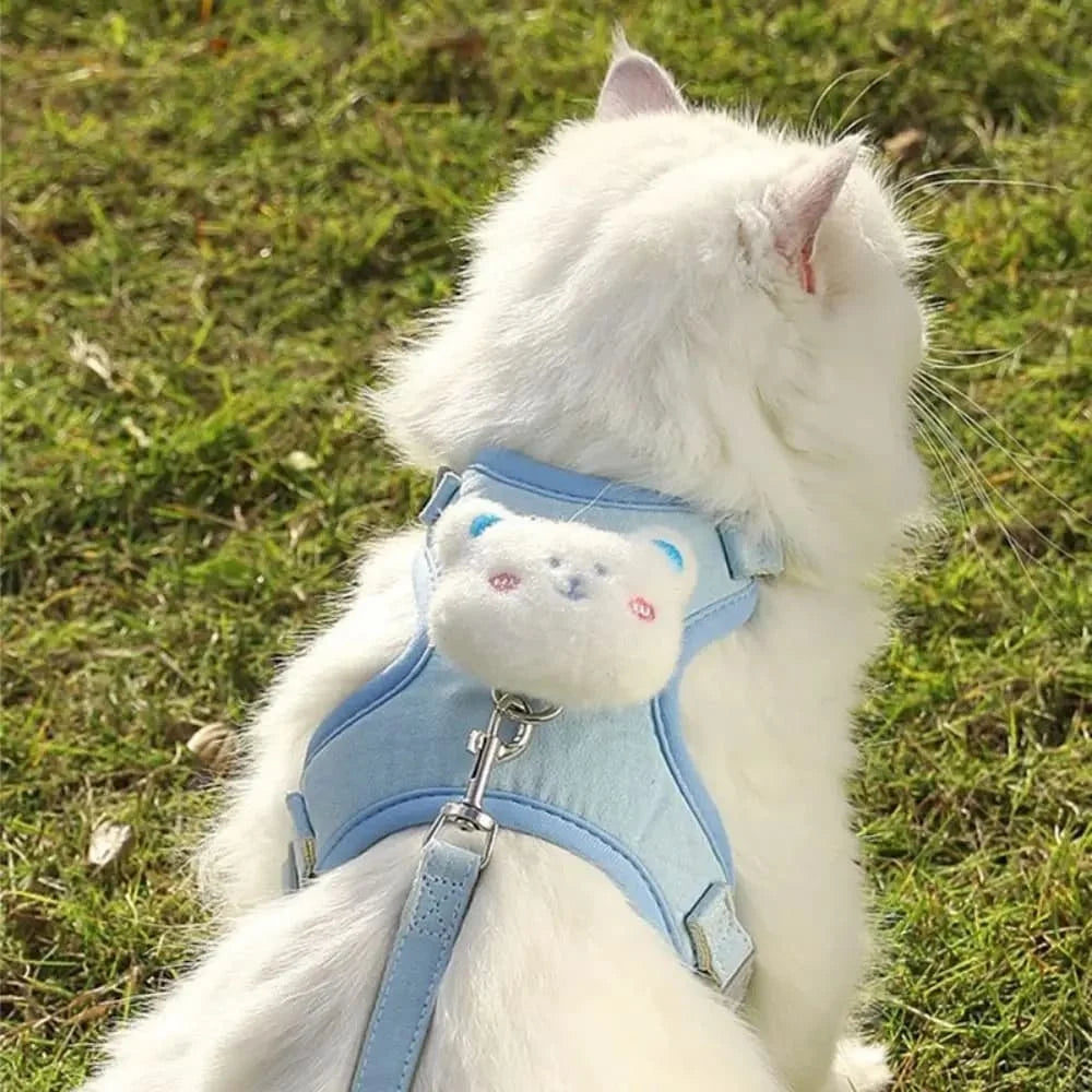 Un gato blanco vistiendo un arnés y correa de animal azul claro.