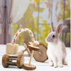Natural Wooden Chew Toy Set for Small Pets – Guinea Pigs, Rabbits & Hamsters