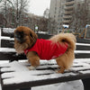Warm Winter Vest for Small Dogs and Cats