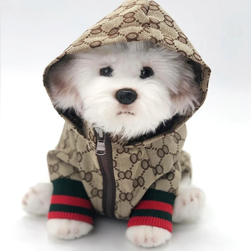 Patterned Dog Coat for Autumn and Winter