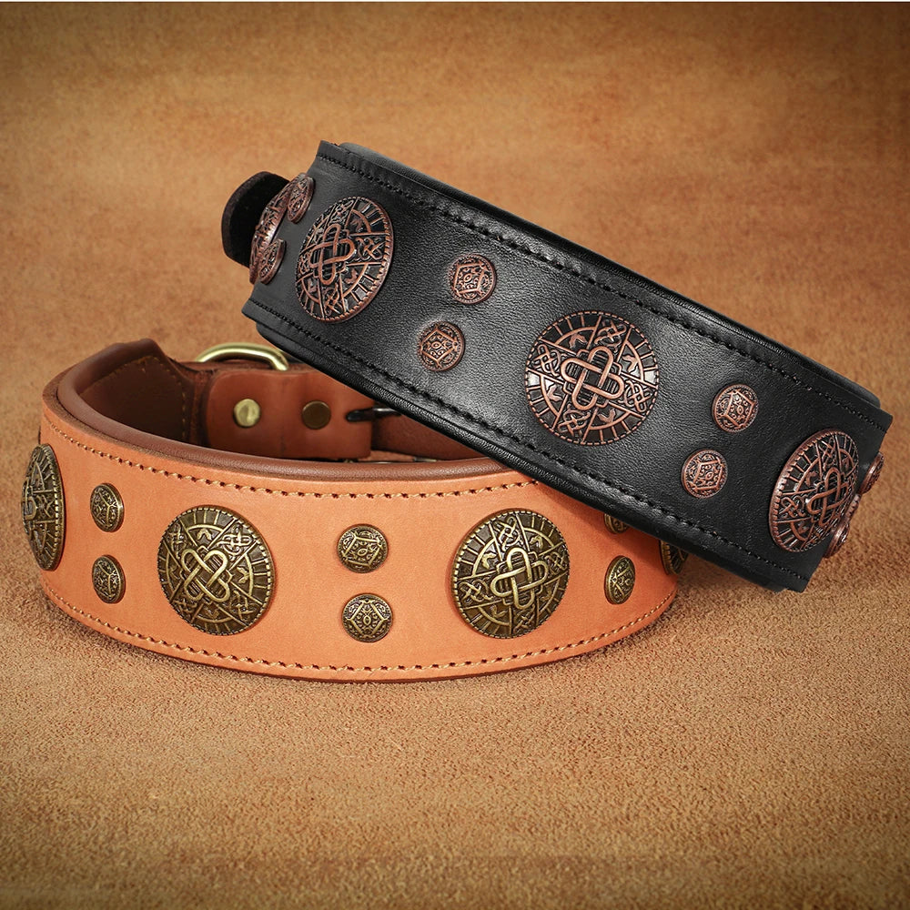 A pair of genuine leather dog collars featuring dark brown studs and intricate Celtic knot designs on black and tan leather.