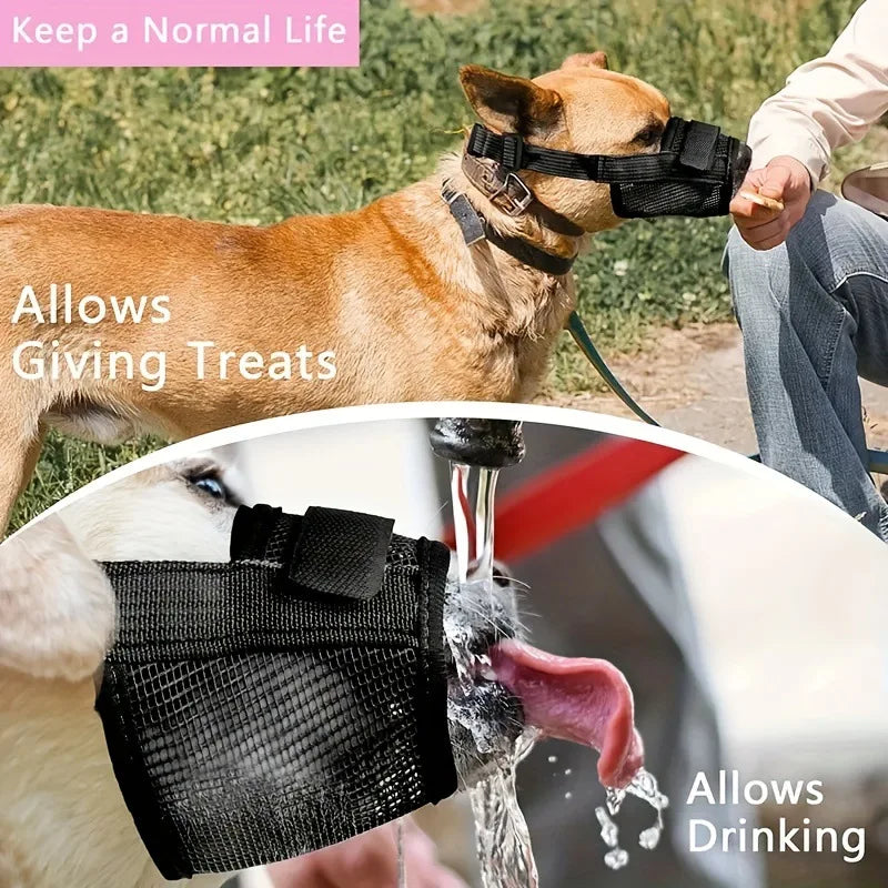 Un perro con un bozal negro transpirable bebiendo agua.