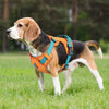 Atmungsaktives Hundegeschirr aus Mesh mit reflektierender Weste