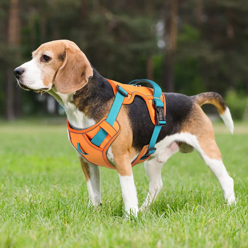 Atmungsaktives Hundegeschirr aus Mesh mit reflektierender Weste