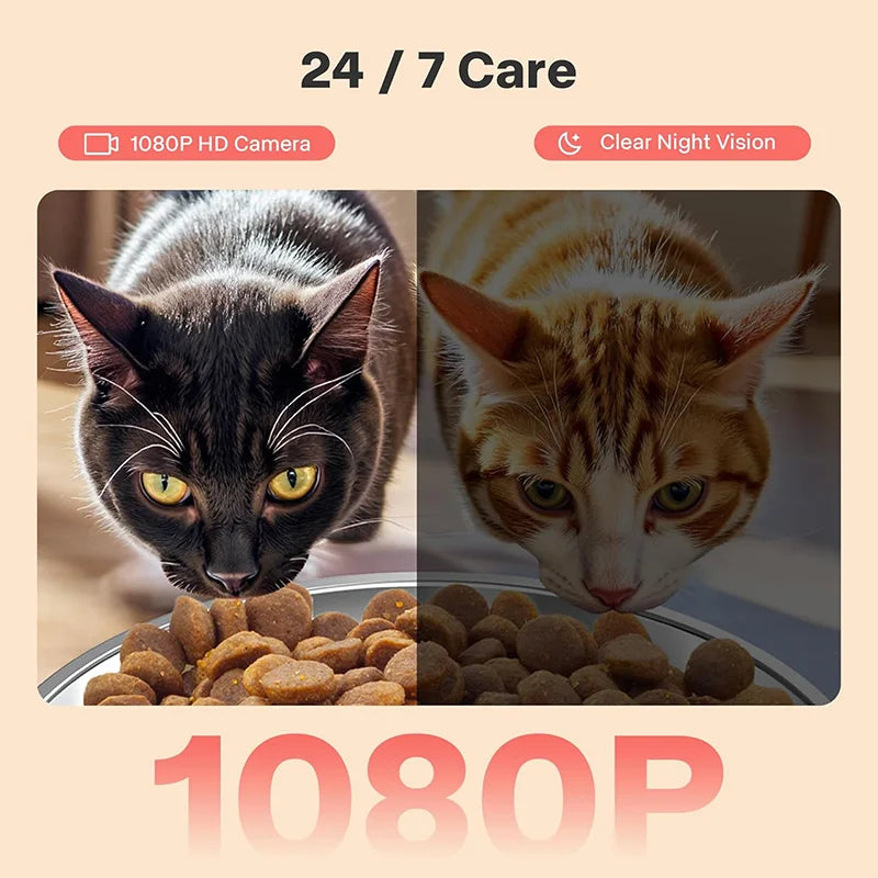 Close-up of a black cat looking at food in a bowl, next to an orange tabby cat, highlighting 1080P HD camera features.