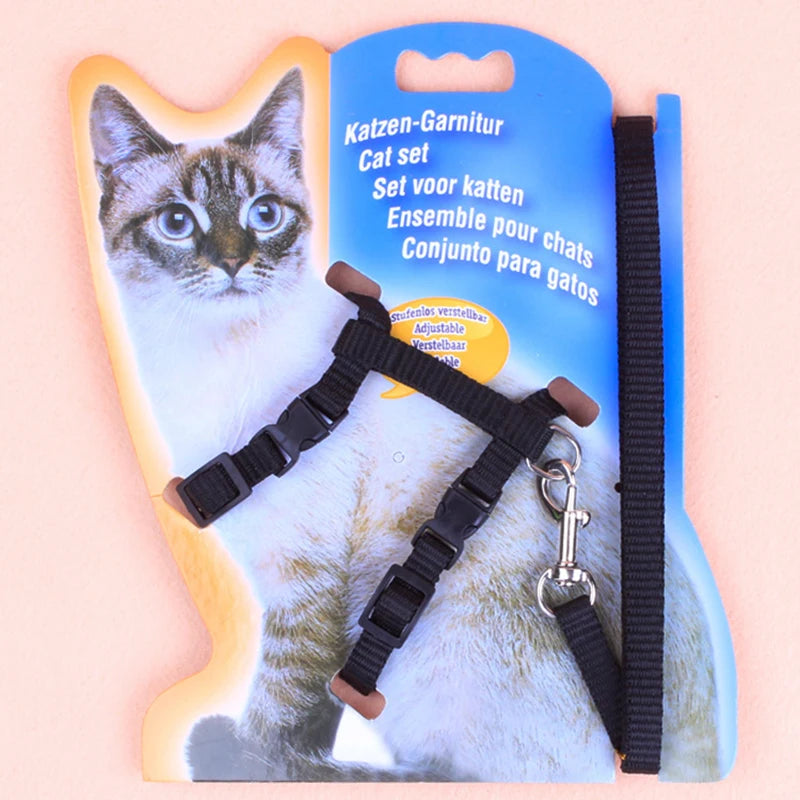 A set of adjustable black cat chest straps and a leash packaged in blue plastic.