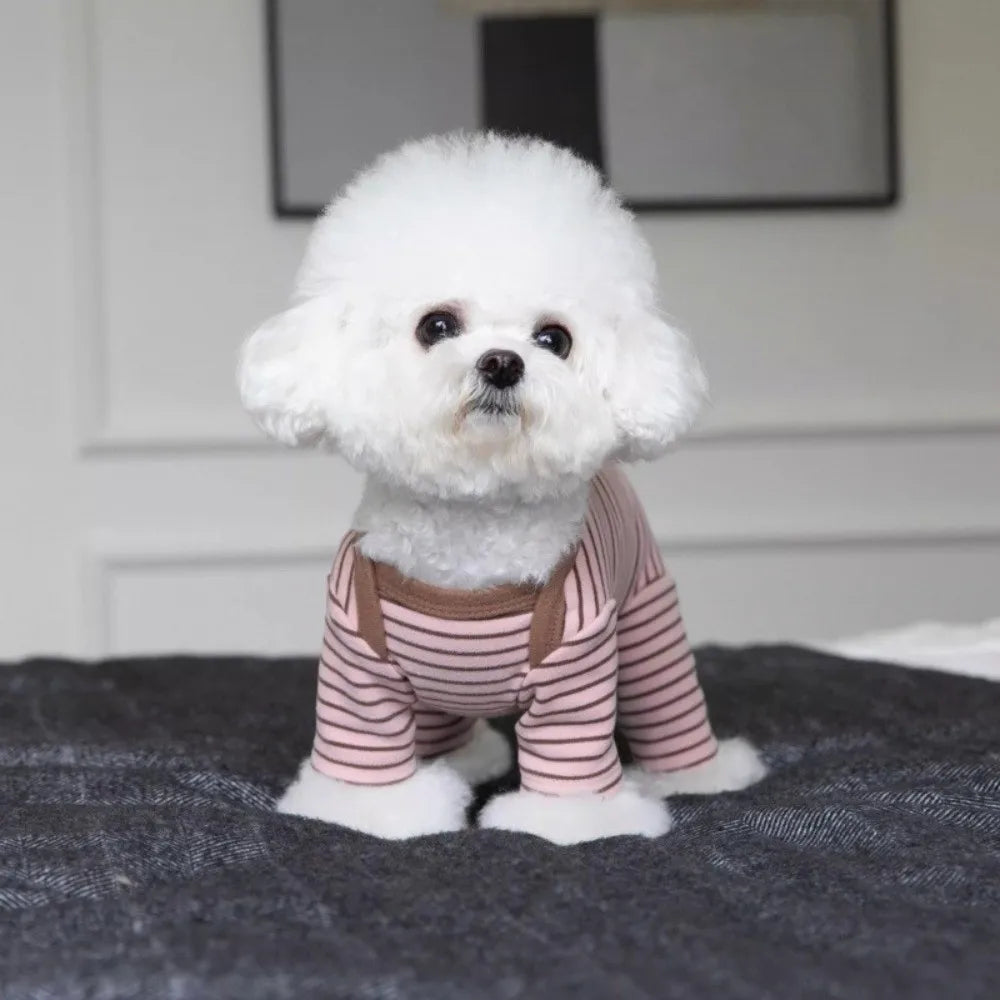 A white, fluffy dog wearing cozy striped pajamas with full belly coverage.