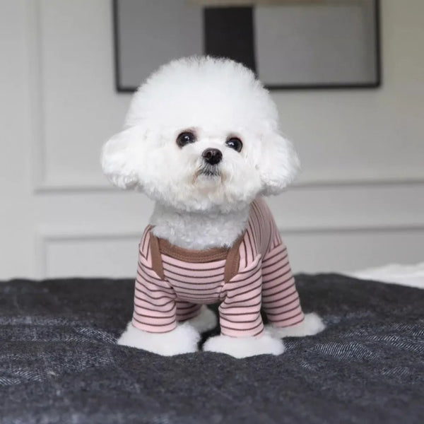 A white, fluffy dog wearing cozy striped pajamas with full belly coverage.