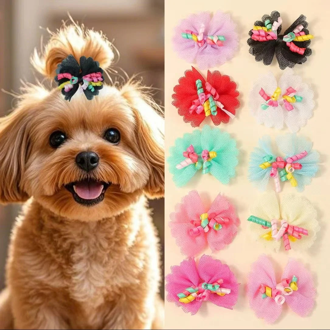 A close-up of a light brown dog wearing several pink and green lace hairbows.