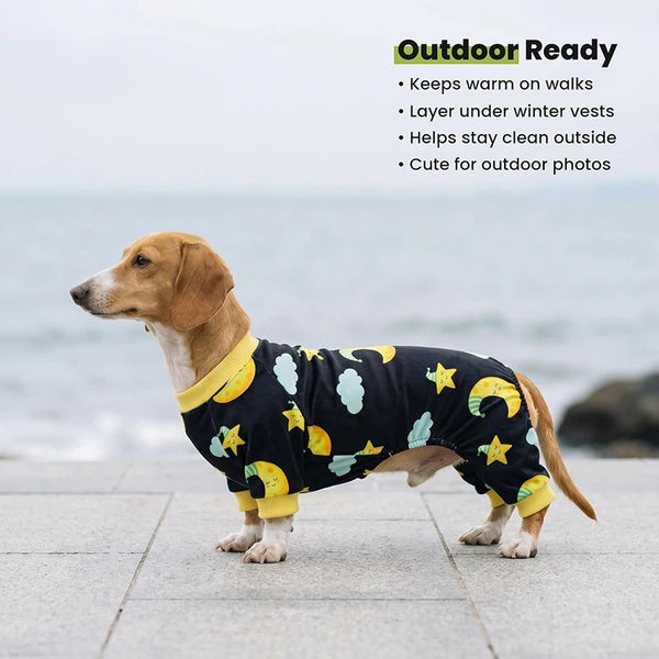 A light brown dog wearing a black stretchy pajama with yellow moon and star prints, standing outdoors.
