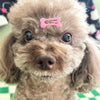 Bone-Shaped Pet Hair Clips for Dogs and Cats
