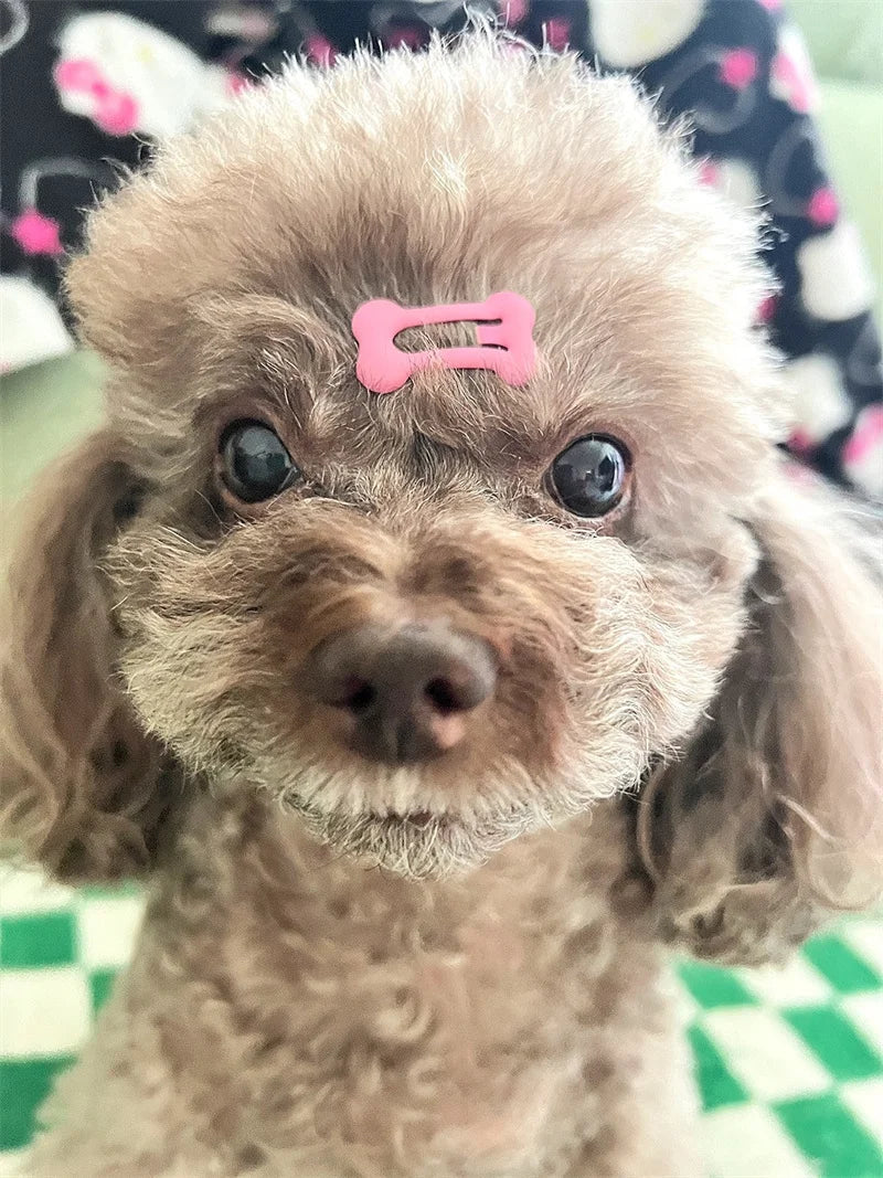 Bone-Shaped Pet Hair Clips for Dogs and Cats