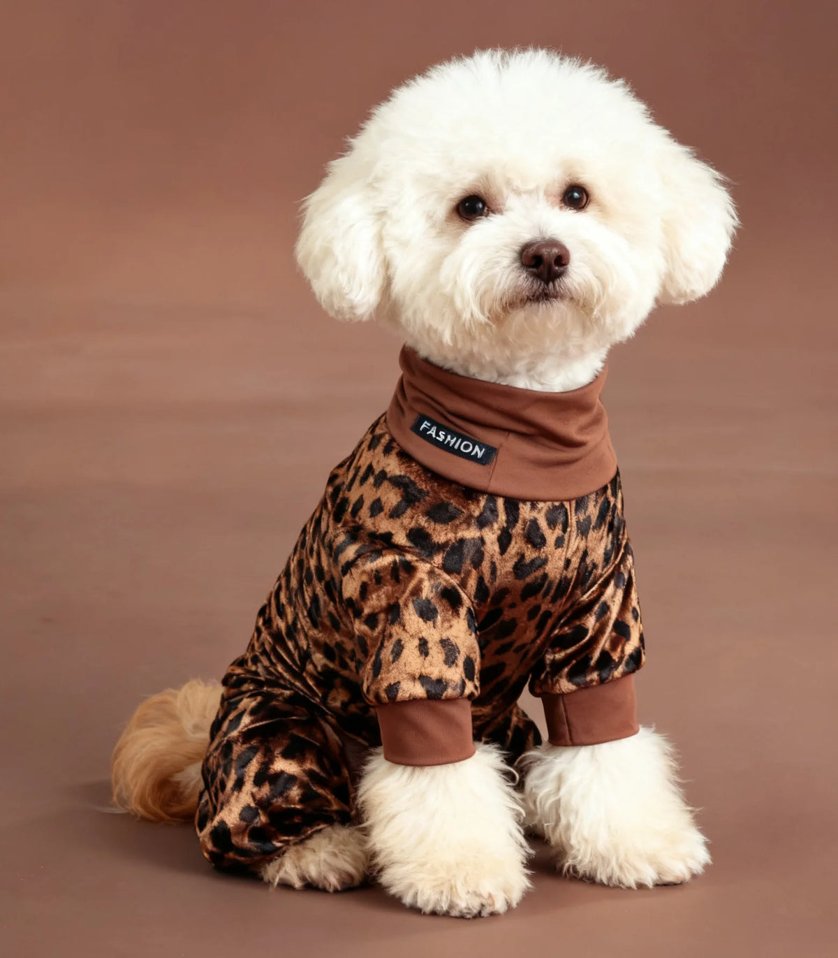 A white poodle wearing a brown leopard print jumpsuit.