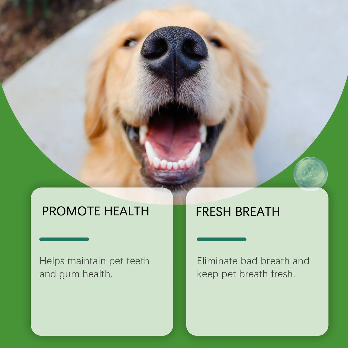 A happy golden retriever dog looking directly at the camera, with text promoting health and fresh breath.