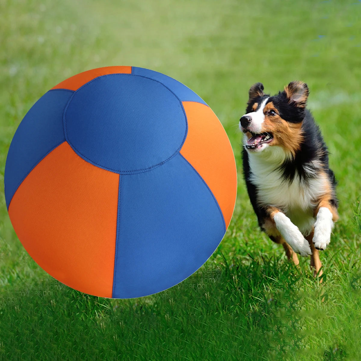 A brown and black dog sits next to a large, multi-colored orange and blue interactive dog ball on green grass.