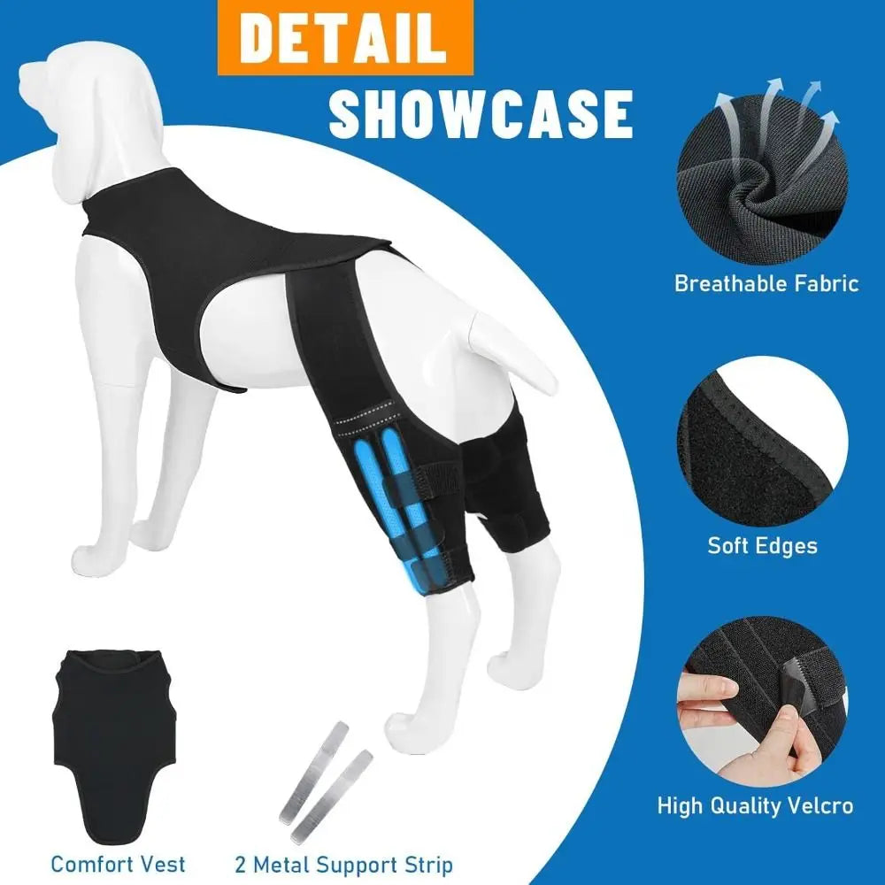Détail d'un gilet noir pour chien avec des bandes de soutien bleues et des sangles métalliques pour protéger les genoux et le