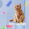 A fluffy brown cat is sitting next to various colorful spring toys for interactive play.