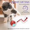 Interactive Rolling Cat Toy with Bird Sounds and Three Play Modes