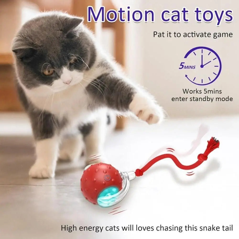Interactive Rolling Cat Toy with Bird Sounds and Three Play Modes