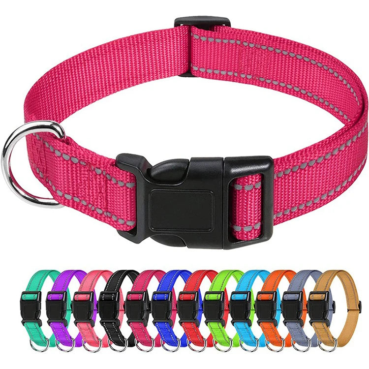 Decorative Nylon Dog Collar with Buckle Closure