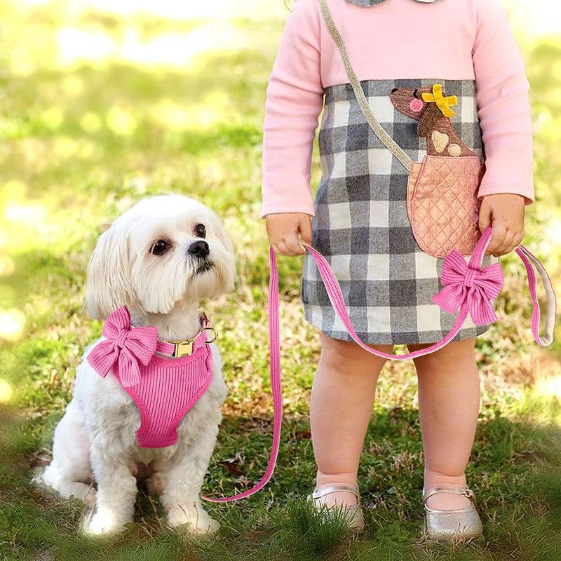 3-Piece Dog Collar Harness Leash Set with Bowknot