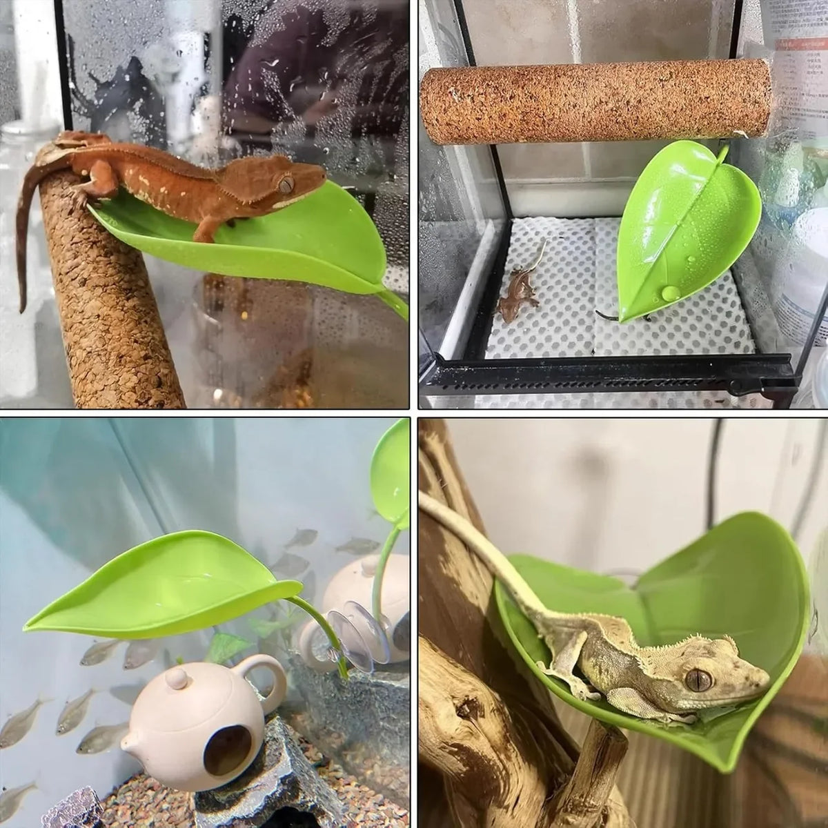 Reptile Basking Leaf Platform with Suction Cup